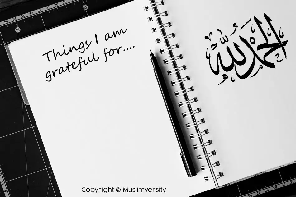 Gratitude - Things I am grateful for