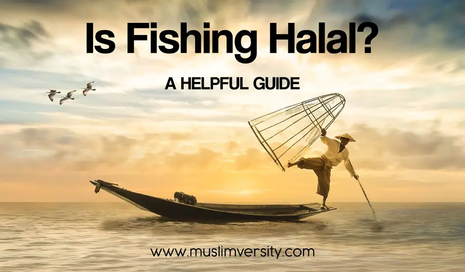 Is Fishing Halal or Haram in Islam?