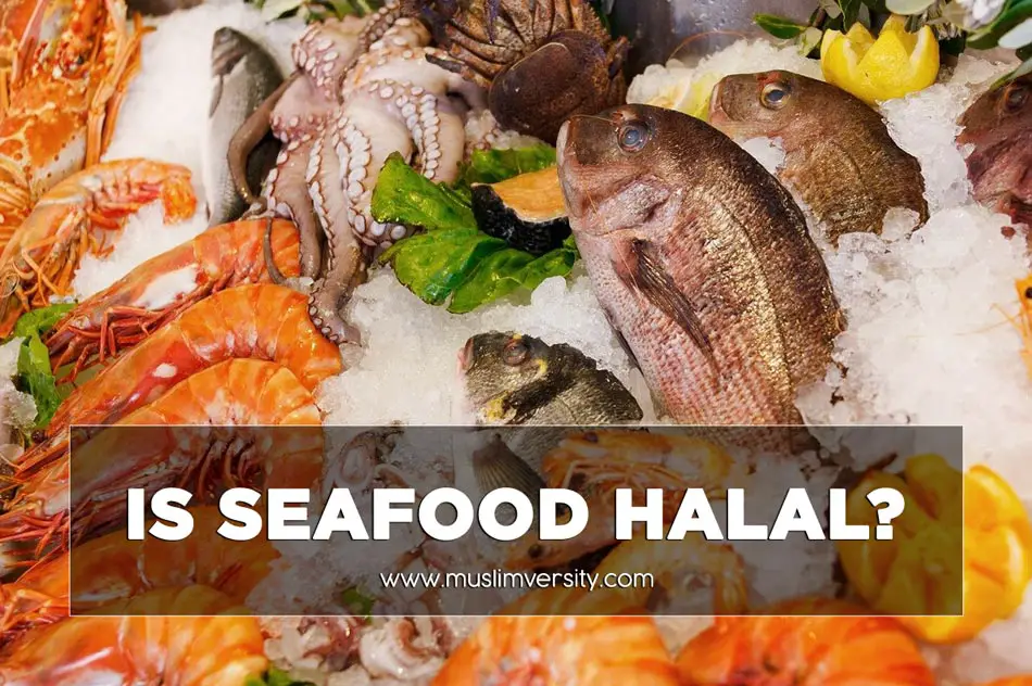 Is Seafood Halal? (Crab, Lobster, Shark, Octopus, Oyster, Sushi)