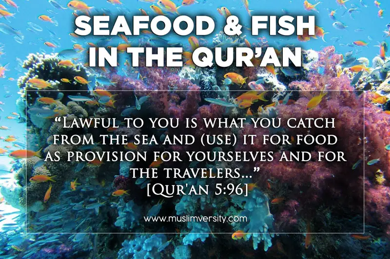 Verse in the Quran - Seafood and Fish Halal 